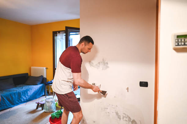 Best Mold Cleaning Services  in Guntown, MS
